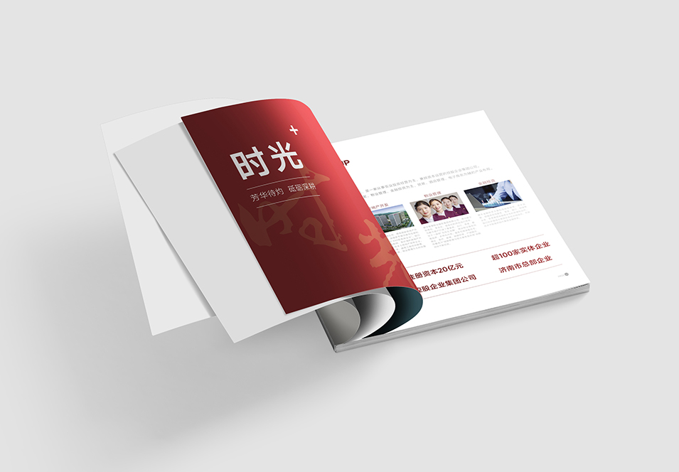 銀豐生物集團(tuán)企業(yè)畫冊(cè)設(shè)計(jì)
