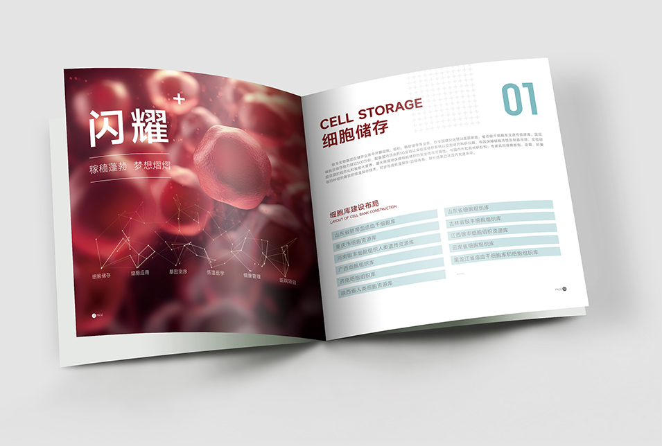 銀豐生物集團(tuán)企業(yè)畫冊(cè)設(shè)計(jì)