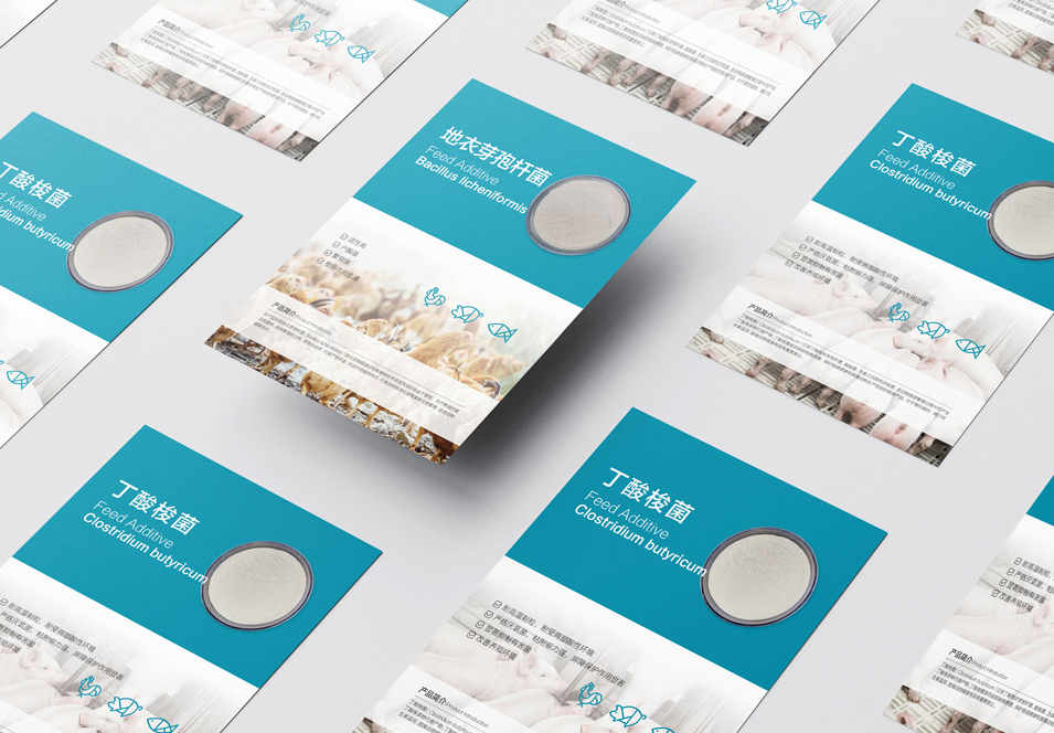 農(nóng)業(yè)畜牧業(yè)畫冊設(shè)計、封套單頁設(shè)計