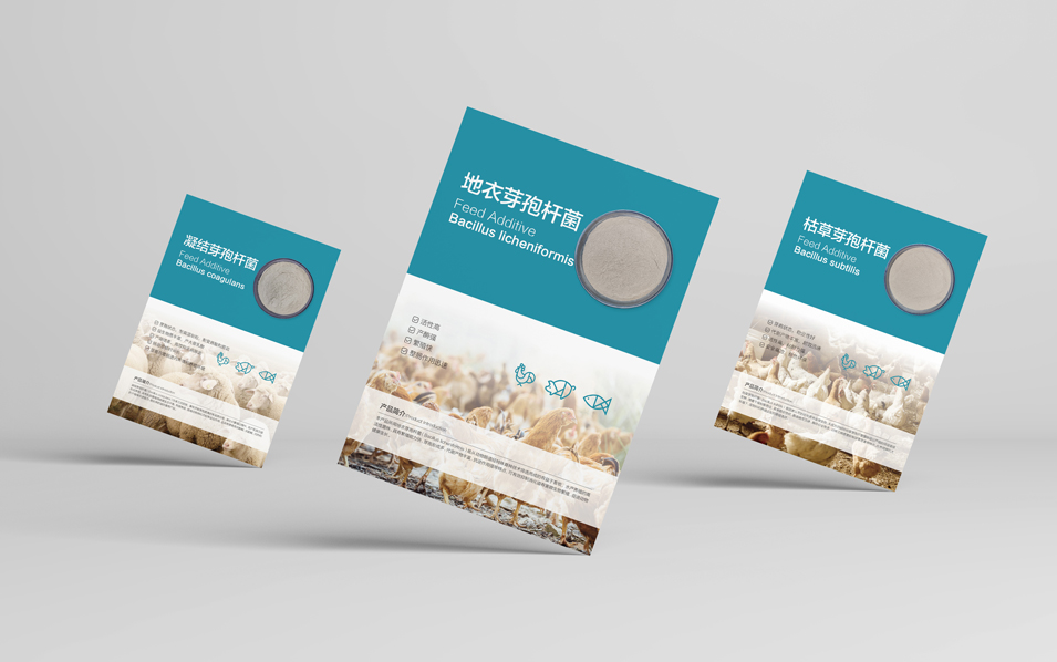 農(nóng)業(yè)畜牧業(yè)畫冊設(shè)計、封套單頁設(shè)計